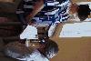 p6285469_t1.jpg