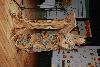 dsc_0152_t1.jpg